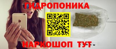 спайс Кунгур