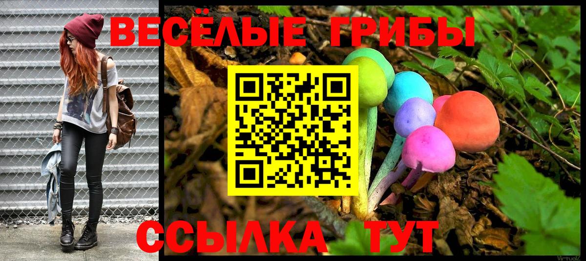 Псилоцибиновые грибы GOLDEN TEACHER  Вход с VPN  Губкинский 